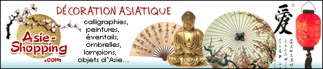 boutique en ligne asiatique chinoise japonaise