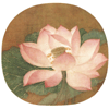 symbole du lotus en Asie