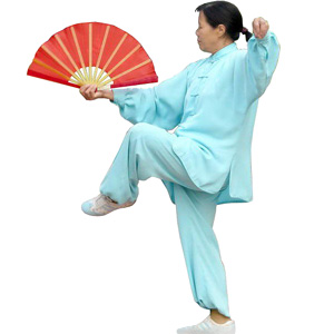 Eventail de Tai Chi ou Kung Fu