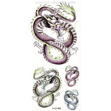 Tatouage dragon temporaire